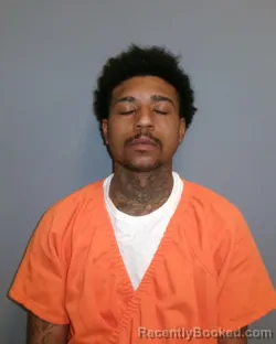 Mugshot of UNIQUE GEE NORFLEET booked in Greene County, New York on July 26, 2026