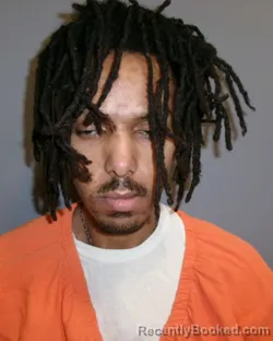 Mugshot of WAYNE JOHN VANDIVER