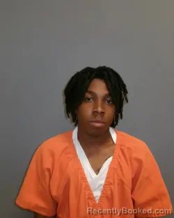 Mugshot of NEVAEH JASIAH JACKSON booked in Greene County, New York on March 25, 2026