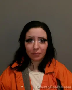 Mugshot of REBECCA L SALVI booked in Greene County, New York on June 27, 2026