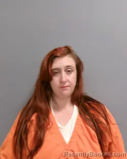 Mugshot of Heather Lynn Blakeslee booked in Greene County, New York on September 13, 2026