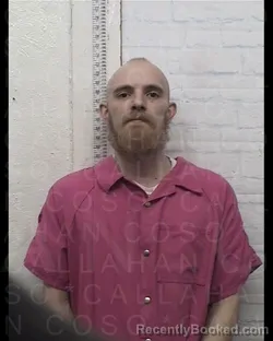 Mugshot of STEVEN PAUL STEGNER