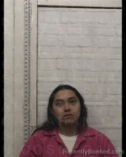Mugshot of MARISOL LUCIA BARRON