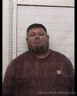 Mugshot of JUAN JOSE VILLALPANDO LARIS