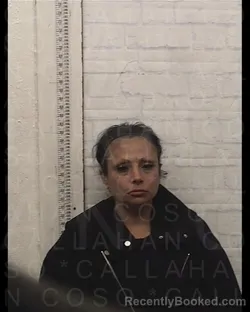 Mugshot of ERICA ORDAZ