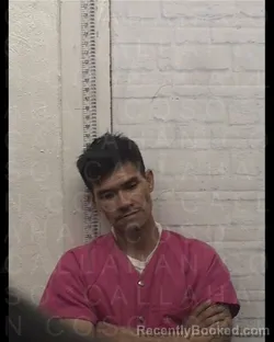 Mugshot of HIEU MINH HOANG