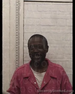 Mugshot of REGINALD BROWN