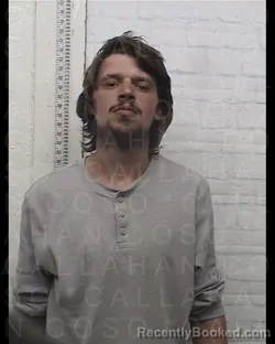 Mugshot of TYLER LEE BROWN booked in Callahan County, Texas on March 19, 2026