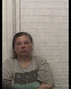 Mugshot of CAMILLIA DIANE COLLINS booked in Callahan County, Texas on March 23, 2026