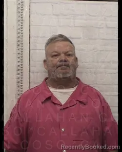 Mugshot of BILLY RAY JR COLLINS booked in Callahan County, Texas on March 23, 2026