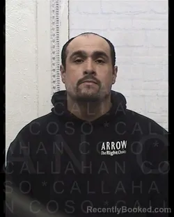 Mugshot of BRETT MACKLIN SIEGFRIED booked in Callahan County, Texas on March 24, 2026