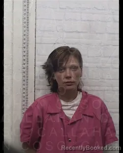 Mugshot of BRANDI NICOLE CULOTTA booked in Callahan County, Texas on April 3, 2026