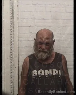 Mugshot of BRIAN KEITH JACKSON booked in Callahan County, Texas on April 17, 2026