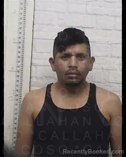 Mugshot of FABIAN PEREZ PRADO booked in Callahan County, Texas on July 28, 2026