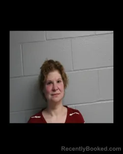 Mugshot of Kelly Krajewski booked in Madison County, New York on August 29, 2026