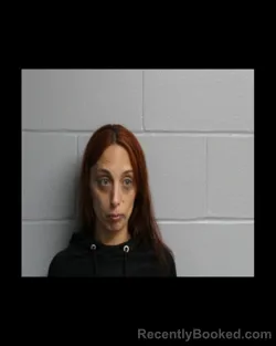 Mugshot of Monique J Geller booked in Madison County, New York on August 31, 2026