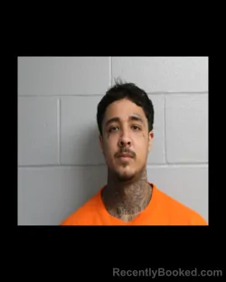 Mugshot of Fabio Marcoccia booked in Madison County, New York on September 10, 2026