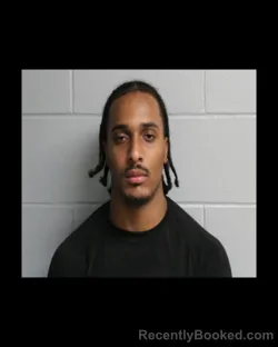Mugshot of Shane L Williams