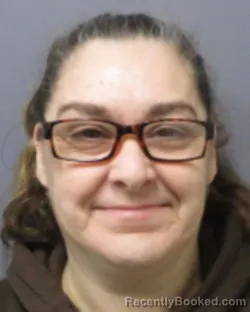 Mugshot of TINA ANN HILLMAN