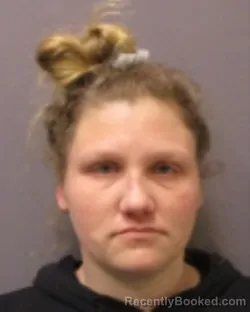 Mugshot of AMY L JOHNSON