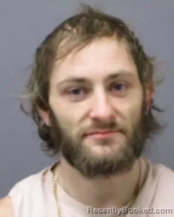 Mugshot of MICHAEL A VOGEL