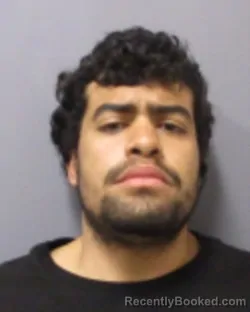 Mugshot of NELSON QUINONES booked in Montgomery County, New York on April 16, 2026