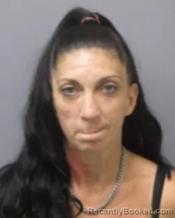 Mugshot of Chasidy Ann Farone booked in Montgomery County, New York on August 10, 2026