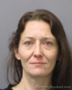Mugshot of AMANDA LEE SAVAGE booked in Montgomery County, New York on June 20, 2026