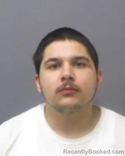 Mugshot of MILES L BRIHIM