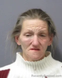 Mugshot of STEPHANIE R. FERRIS