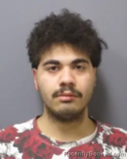 Mugshot of MIGUEL A SANCHEZ