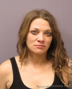 Mugshot of HEATHER D YACOBUCCI