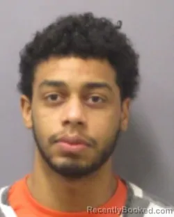 Mugshot of ALLAN MERCEDES booked in Montgomery County, New York on March 31, 2026