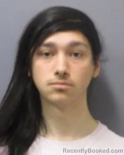 Mugshot of DAKOTA J KILGORE booked in Montgomery County, New York on April 2, 2026