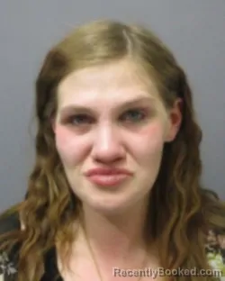 Mugshot of BROOKE M VANALSTINE booked in Montgomery County, New York on April 23, 2026