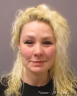 Mugshot of JESSIKA L BAYLIS booked in Montgomery County, New York on May 8, 2026