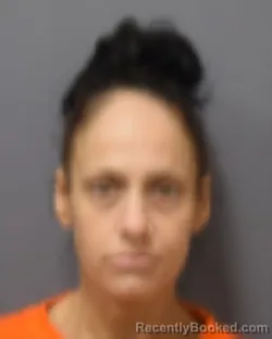 Mugshot of DEANNA M SANTORO booked in Montgomery County, New York on June 7, 2026