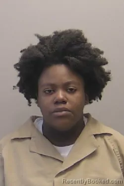 Mugshot of Belindra Lynn Johnson booked in Niagara County, New York on April 3, 2026