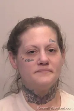 Mugshot of Dalana Nicole Farns