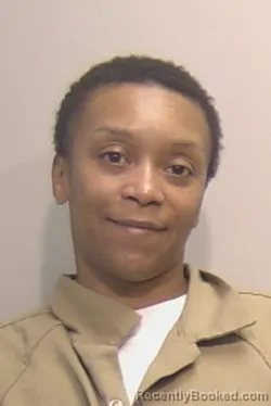 Mugshot of Dominique Nichole Ferguson booked in Niagara County, New York on March 26, 2026