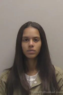 Mugshot of Daisy Nicole Ingram booked in Niagara County, New York on March 25, 2026