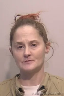 Mugshot of Diane Marie Rodriguez