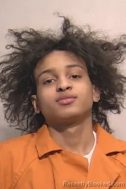 Mugshot of George Jaden-Thomas Moyer