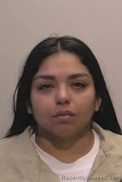 Mugshot of Kinvely Gabriela Rodriguez-Perez booked in Niagara County, New York on March 18, 2026