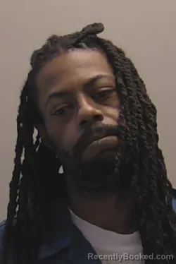 Mugshot of Paris T Williams