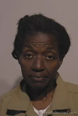 Mugshot of Rochelle D Brinson booked in Niagara County, New York on September 20, 2026