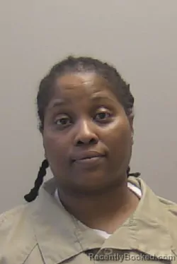 Mugshot of Sabrina Eileen Irby booked in Niagara County, New York on March 25, 2026