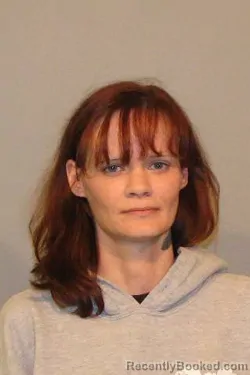 Mugshot of Stacey Ann Liddell booked in Niagara County, New York on June 14, 2026