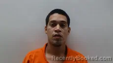 Mugshot of ALANIS IRVINK SAUL