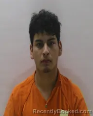 Mugshot of LEMUS JUAN